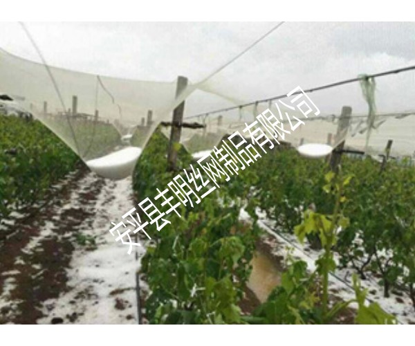 吐鲁番防雹网施工步骤